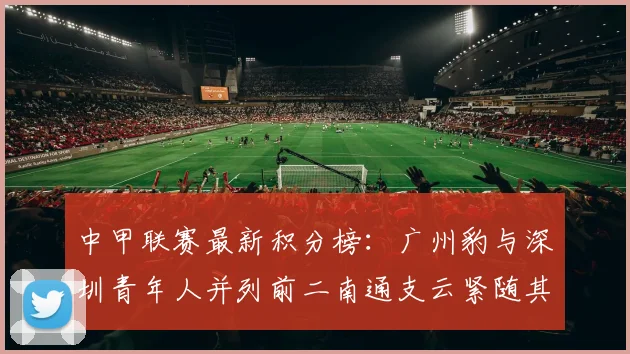 中甲联赛最新积分榜：广州豹与深圳青年人并列前二南通支云紧随其后