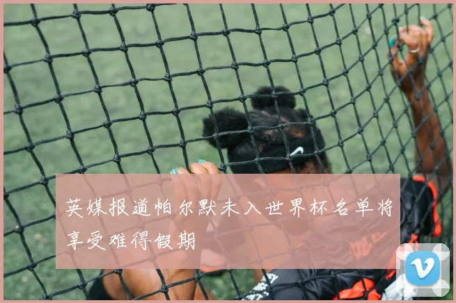 英媒报道帕尔默未入世界杯名单将享受难得假期