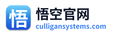 悟空官网 Logo